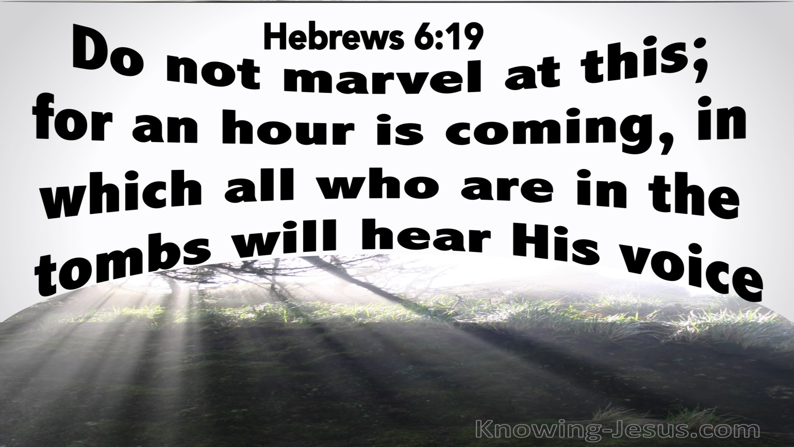 Hebrews 6:19 Hope In Him Alone (gray)